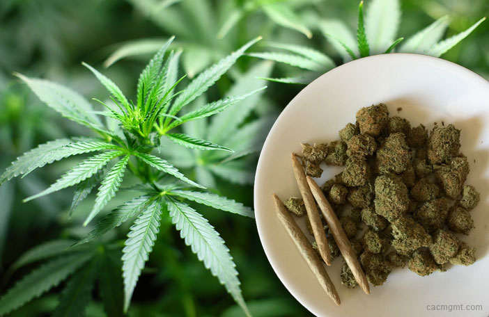 Marijuana: Can the HOA regulate rules regarding pot?