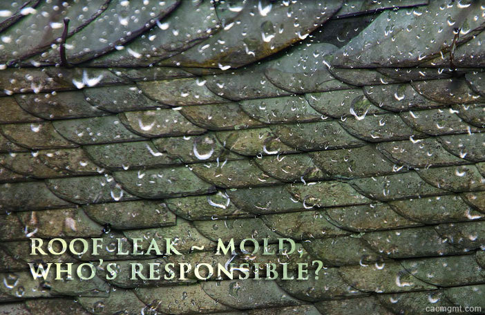 HOA community: Roof Leak and mold, Who's responsible?